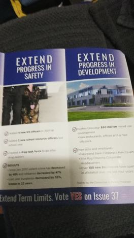 Yes on Issue 37 literature 2